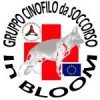 Cane buon cittadino